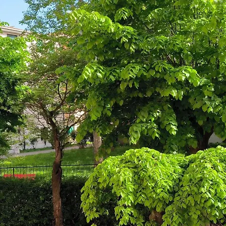 A Sacca Fisola Venezia