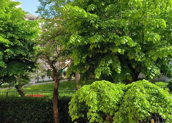 A Sacca Fisola Veneza